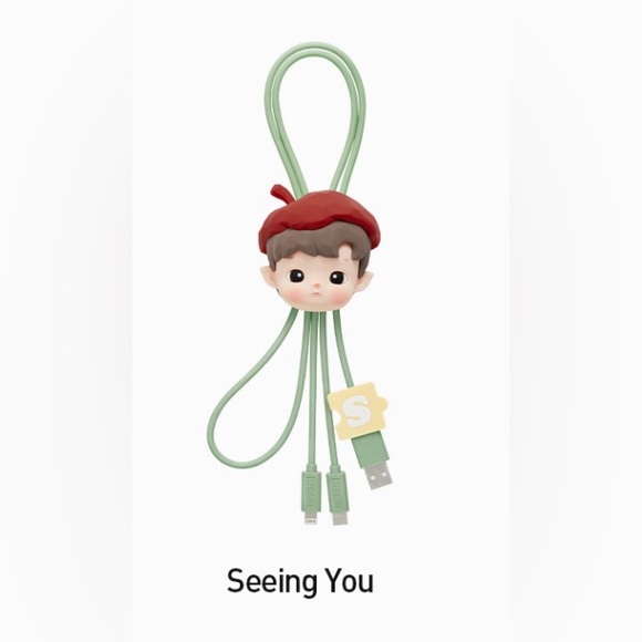 Hand in Hand- Lightning/USB-C Charging Cable- Seeing You - Picture 1 of 6